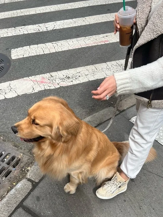 Chanel Fabric and Suede CC Side Zip High Top Sneakers🤩 - Picture 8 of 8